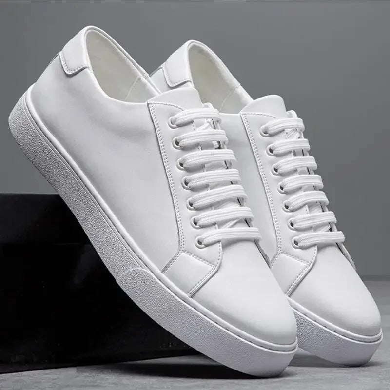 Klassieke Schoenen