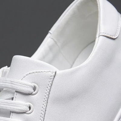 Klassieke Schoenen