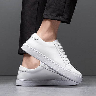 Klassieke Schoenen