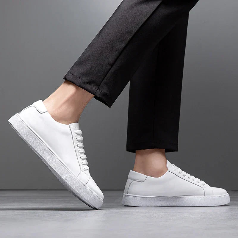 Klassieke Schoenen